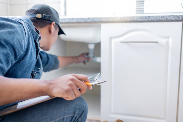 Best Plumbing Services Near Me  in Ash Flat, AR